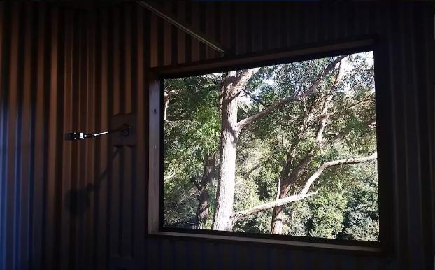 Avoca Beach And Bush Экстерьер фото
